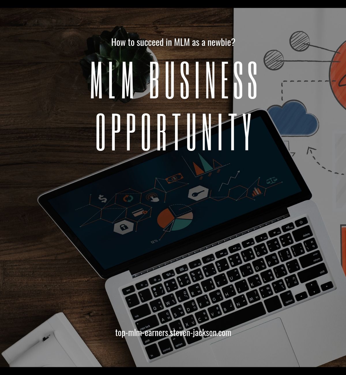 MLM business opportunity